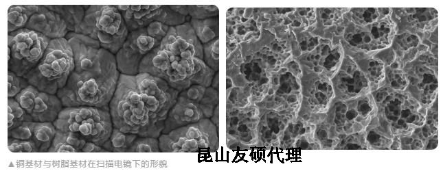 三沙蔡司三沙扫描电镜